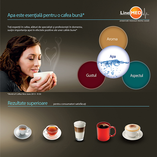 prezentare-Laica-3